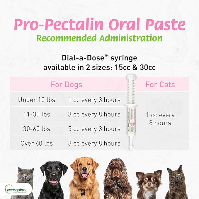 Vetoquinol Pro Pectalin Gel 30 cc