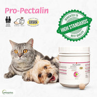 Vetoquinol Pro-Pectalin 250 Tablets