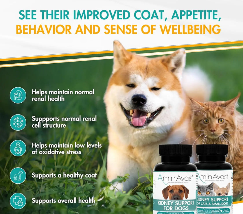 AminAvast Dog Kidney Supplement Supports 60Capsules AminVast