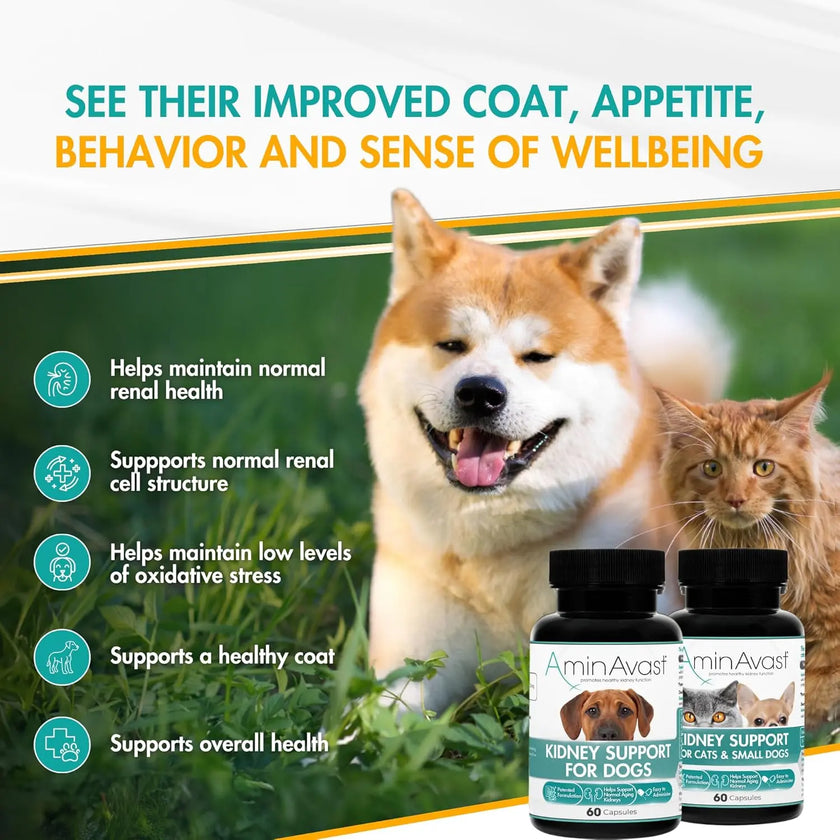 AminAvast Dog Kidney Supplement Supports 60Capsules AminVast
