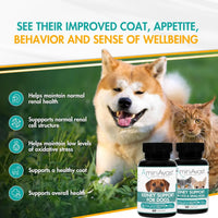 AminAvast Dog Kidney Supplement Supports 60Capsules AminVast
