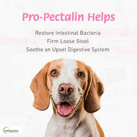 Vetoquinol Pro-Pectalin 250 Tablets