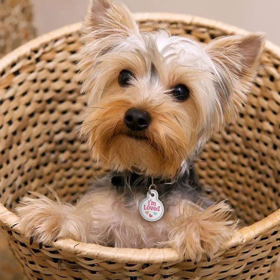 ID Tag Circle Small Raised Edge I'm Loved