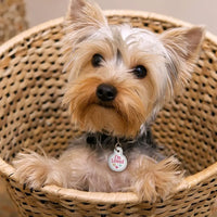 ID Tag Circle Small Raised Edge I'm Loved