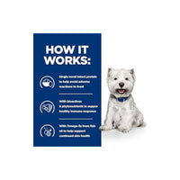 Hill's Prescription Diet Derm Complete Dog Food Egg and Rice Hills