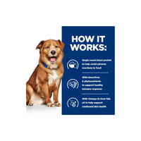 Hill's Prescription Diet Derm Complete Dog Food Egg and Rice Hills