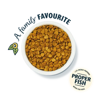 Lily's Kitchen Fisherman's Feast White Fish & Salmon Dry Cat Food Lily's Kitchen