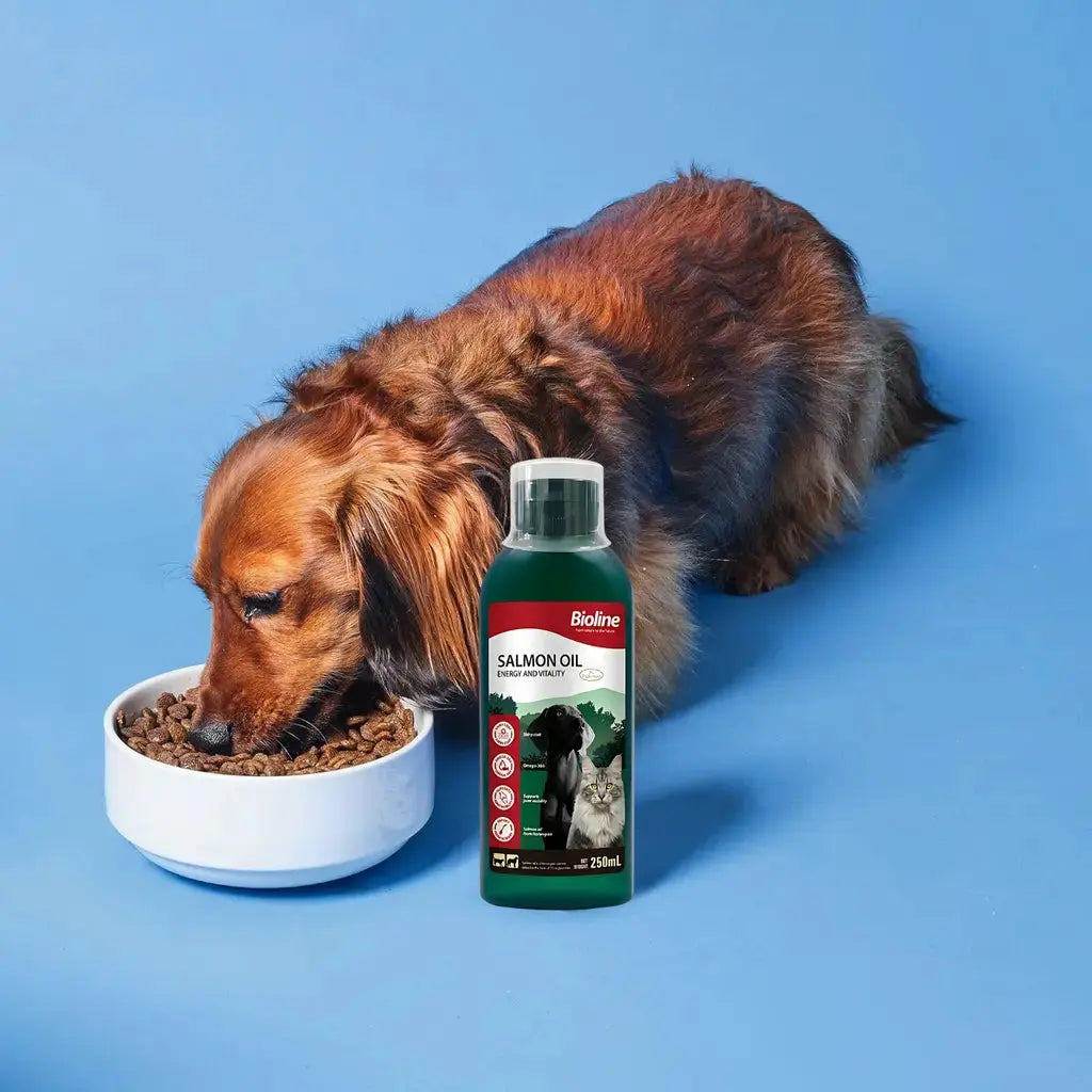 Bioline Norwegian Salmon Oil 250ml Bioline