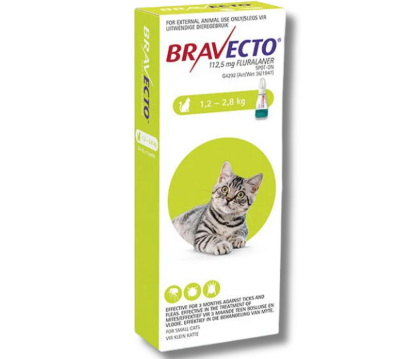 Bravecto Cat Spot On