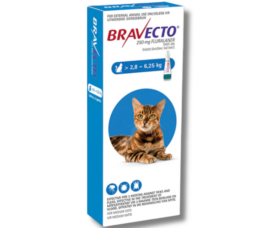 Bravecto Cat Spot On