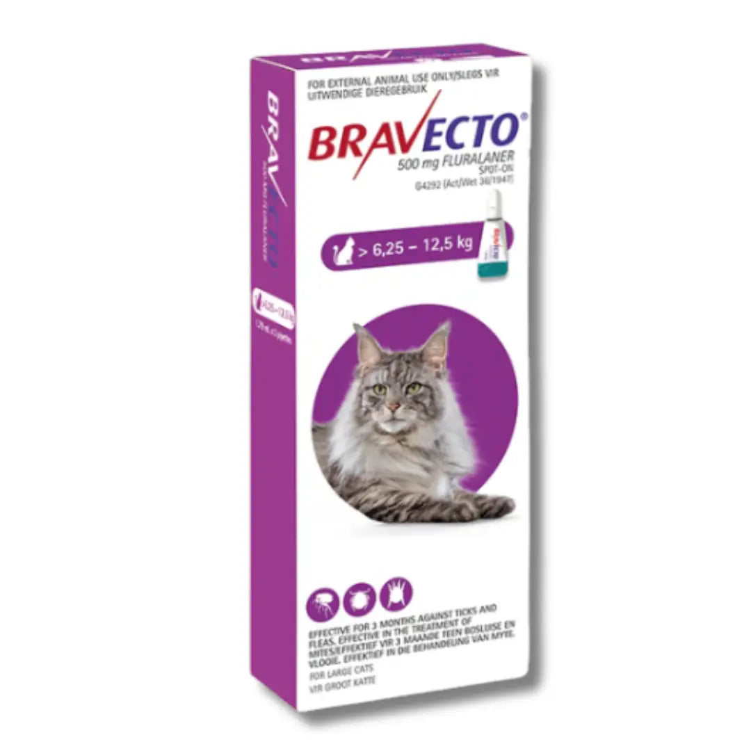 Bravecto Cat Spot On Intervetclinic
