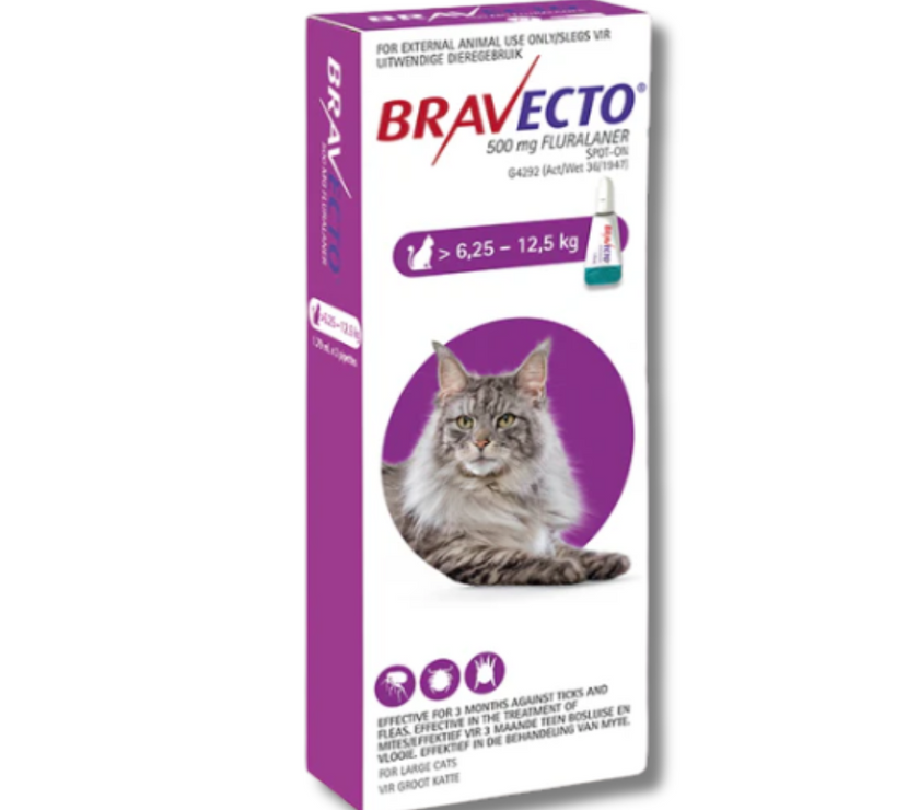 Bravecto Cat Spot On