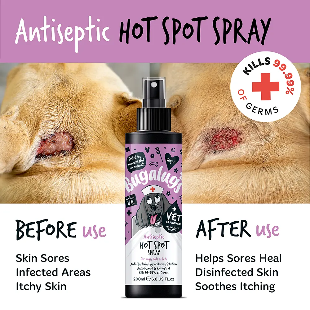 Bugalugs Antiseptic Hot Spot Spray 200ml (6.8 Fl Oz) Bugalugs