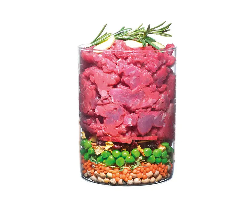 Carnilove True Fresh for Adult Dogs 1.4kg Intervetclinic