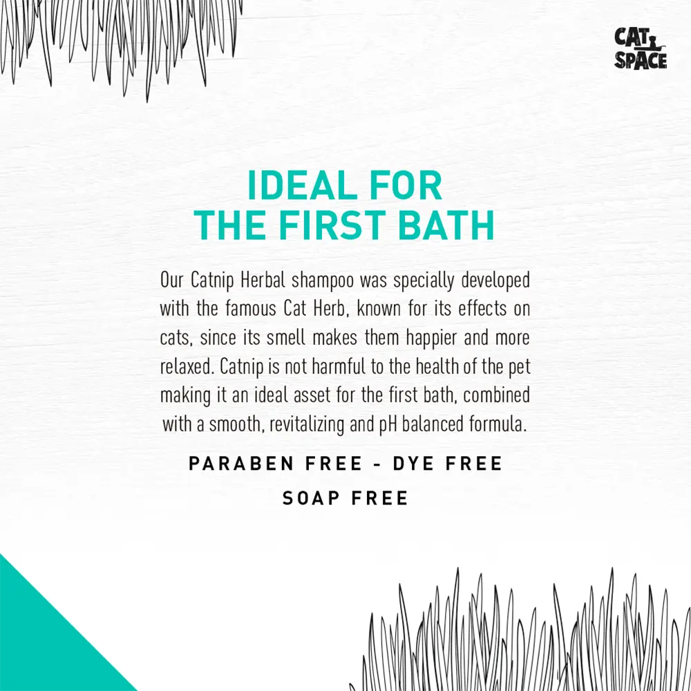 Cat Space Catnip Herbal Cat Shampoo 300ml Cat Space