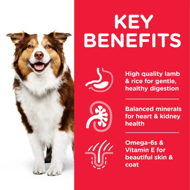 Hill’s Science Plan Medium Mature Adult 7+ Dog Food Hills