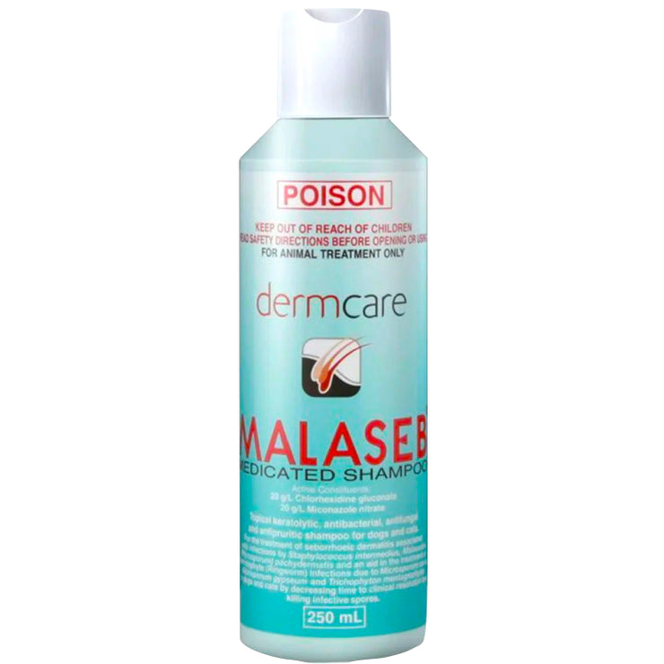 Dermcare Malaseb Medicated Pet Shampoo for Dogs & Cat 250ML