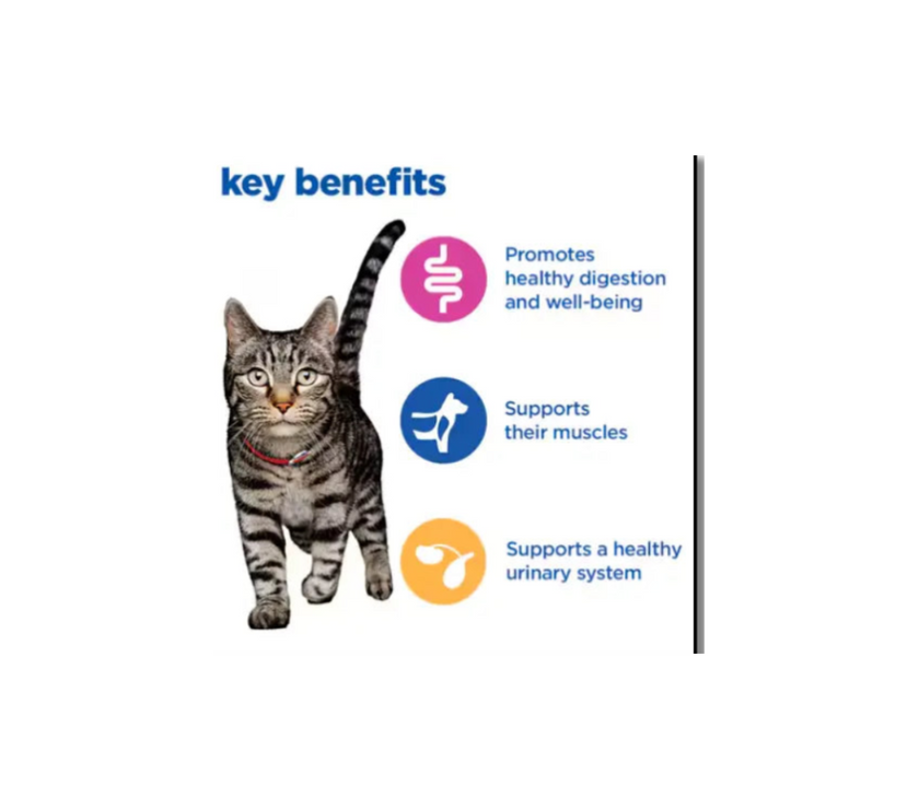 Hill's Vet Essentials Multi-Benefit Adult Dry Cat Food Chicken