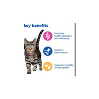 Hill's Vet Essentials Multi-Benefit Adult Dry Cat Food Chicken