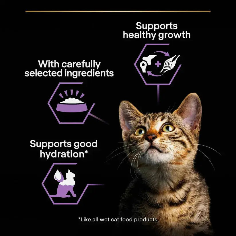 Purina Pro Plan Kitten Baby Mousse Chicken Wet Food Healthy Start 85g Purina Pro Plan
