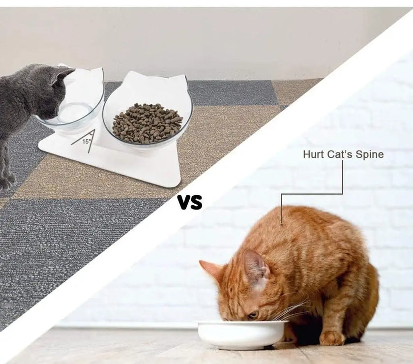 Pado Cat Feeding Bowl (2 in 1)
