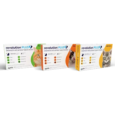 Revolution Plus for Cats Zoetis
