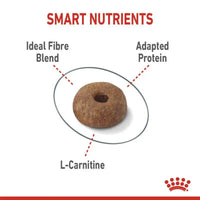 Royal Canin Feline Care Nutrition Light Weight Care Royal Canin