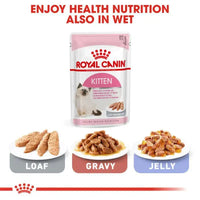 ROYAL CANIN FELINE HEALTH NUTRITION KITTEN DRY FOOD 10 KG Royal Canin