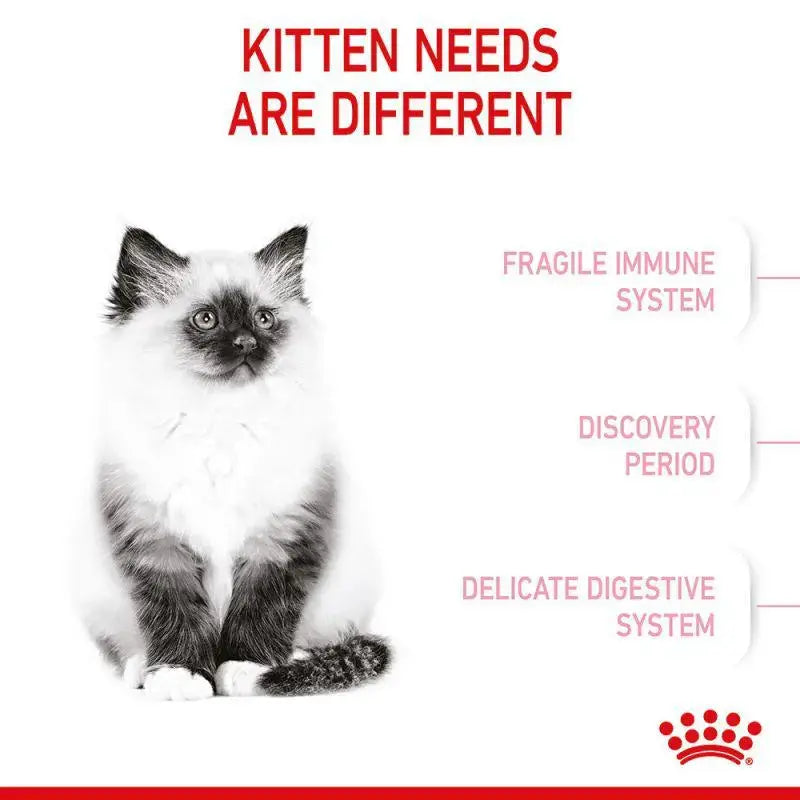 ROYAL CANIN FELINE HEALTH NUTRITION KITTEN DRY FOOD 10 KG Royal Canin