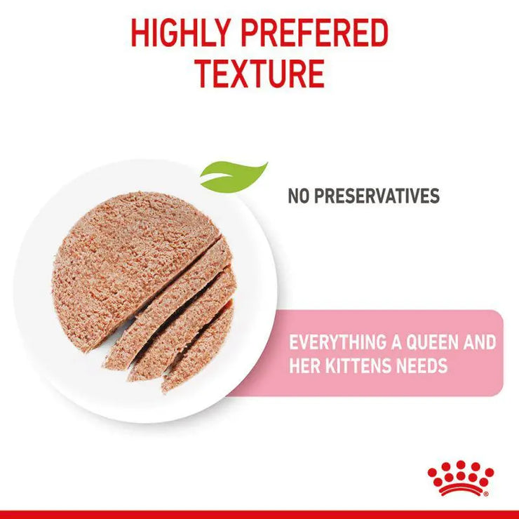 Royal Canin Feline Mother and Babycat Mousse Wet Food Can 12x195g