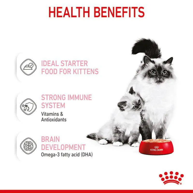 Royal Canin Feline Mother and Babycat Mousse Wet Food Can 12x195g