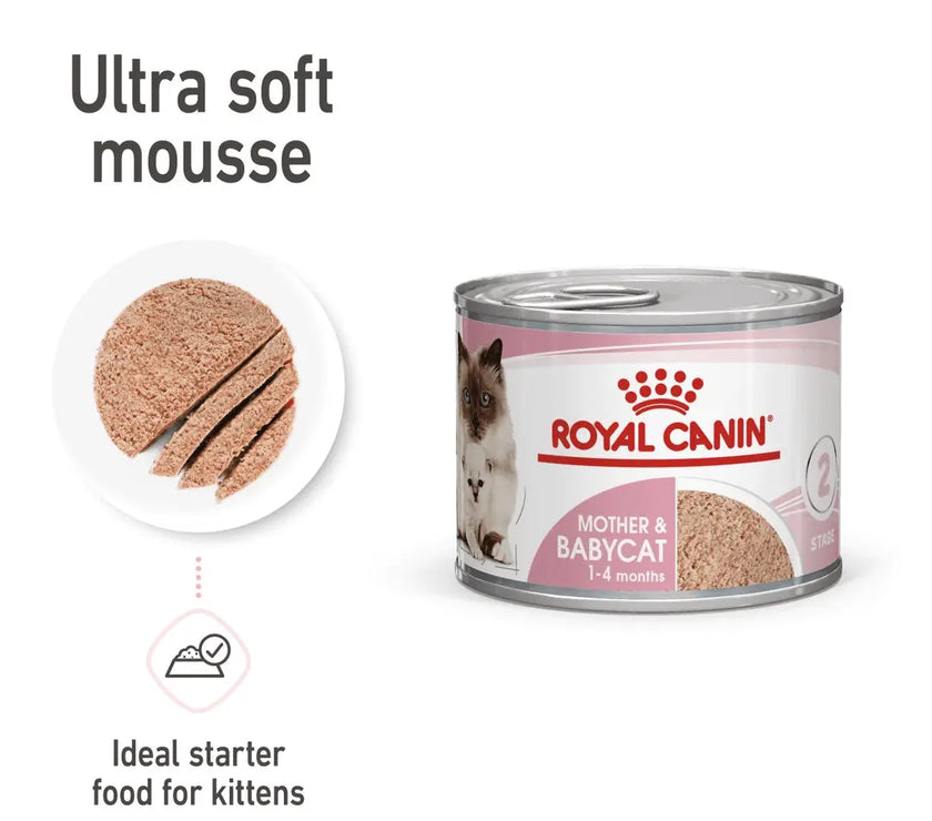 Royal Canin Feline Mother and Babycat Mousse Wet Food Can 12x195g