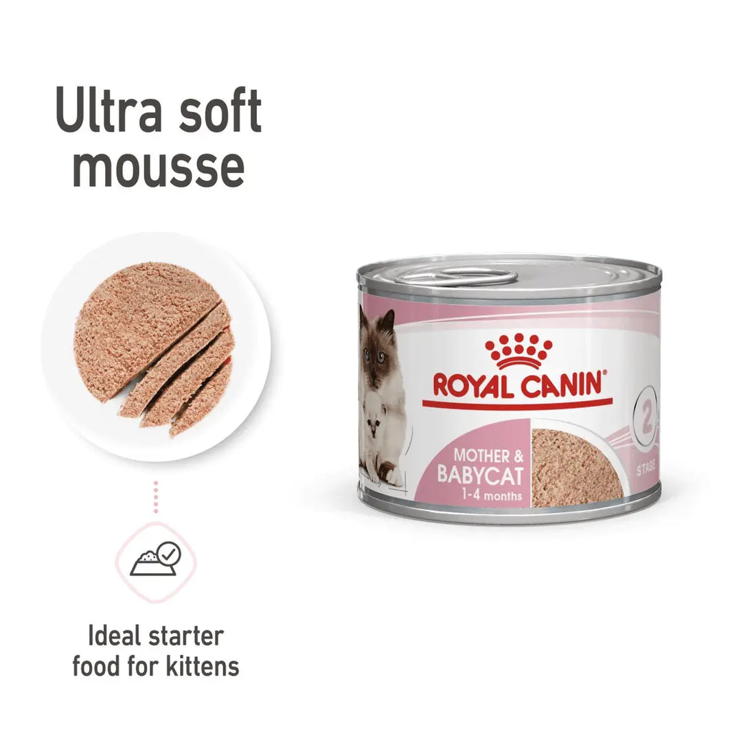 Royal Canin Feline Mother and Babycat Mousse Wet Food Can 12x195g