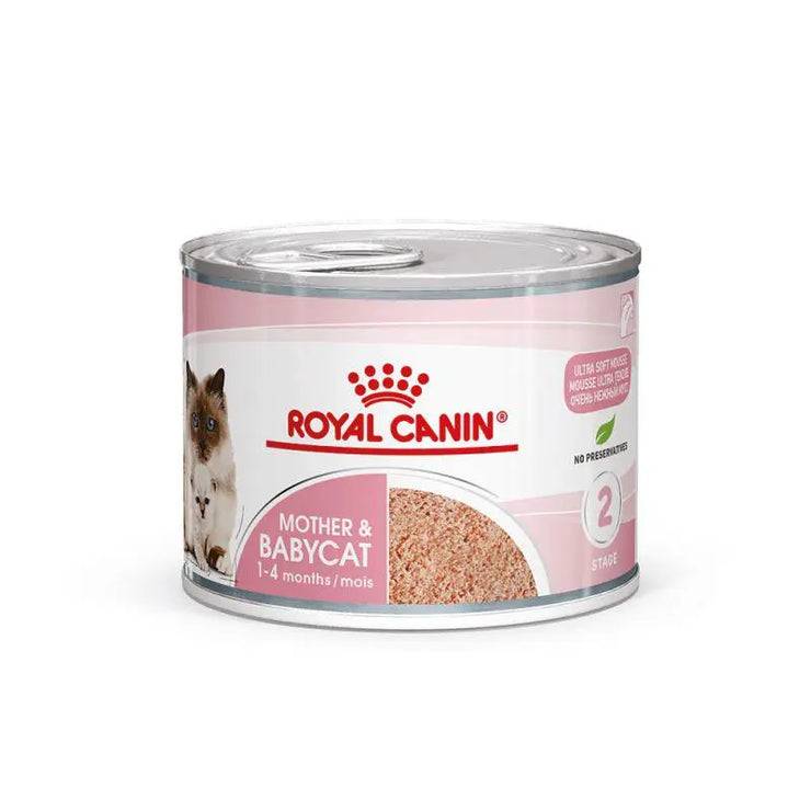 Royal Canin Feline Mother and Babycat Mousse Wet Food Can 12x195g