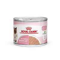 Royal Canin Feline Mother and Babycat Mousse Wet Food Can 12x195g