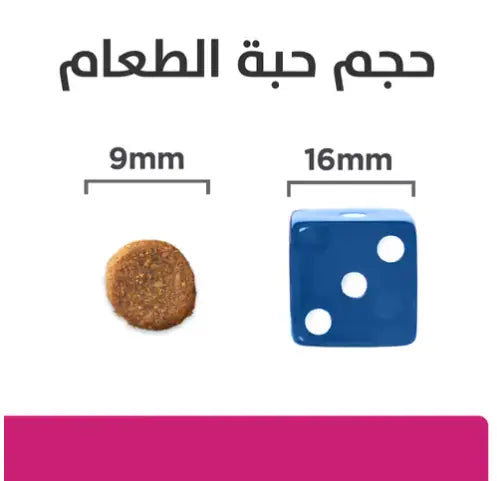 Hills Prescription Diet Gastrointestinal Biome Cat Food with Chicken Hills