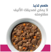Hill's Presctirption Diet Gastrointestinal Biome Stew for Dogs with Chicken & Carrots 354g Hills