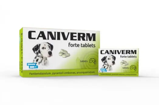 Caniverm Deworming Forte for Dogs and Cats Bioveta