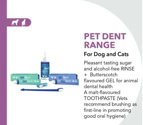 Pet Dent Toothpaste 60g Kyron Labs