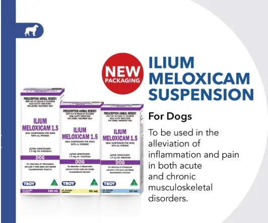 Ilium Meloxicam Suspension 1.5 for Dogs 10ml Troy Laboratory