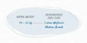 WePharm We Joint Plus Tasty&nbsp; We Pharma