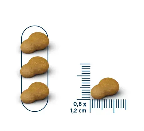 Seven Cats Indoor Cat Food for Strerilized Chicken 10.1kg Seven Cats