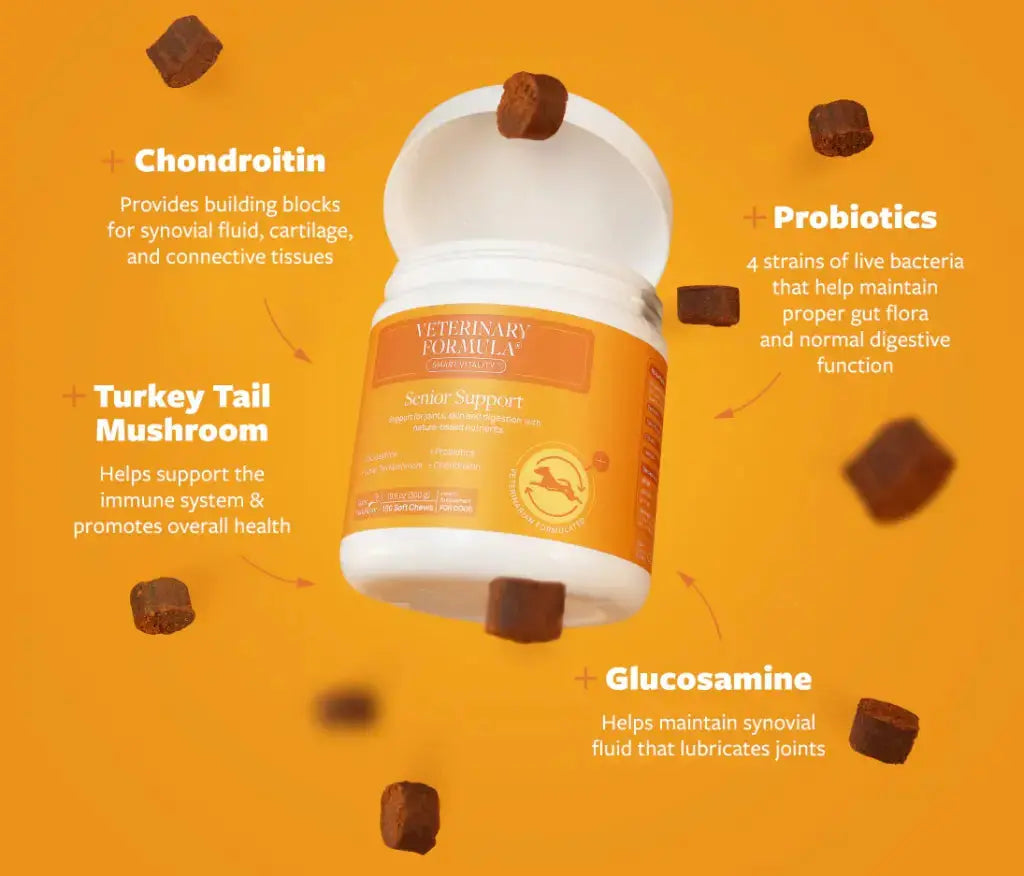 Synergy Labs Veterinary Formula Clinical Care Senior Support Supplement 90G Synergy Labs