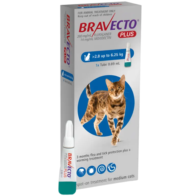 Bravecto Plus for Cats Bravecto Plus