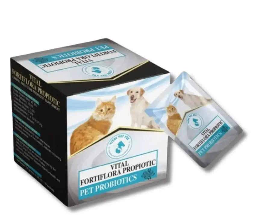 Vital Fortiflora Probiotic 1g Intervetclinic