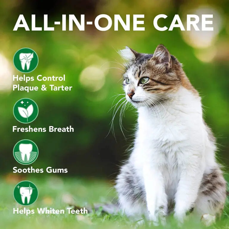 Vet’s Best Advanced Dental Powder for Cats 45g VET'S BEST
