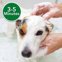 Vet’s Best Oatmeal Medicated Dog Shampoo 16oz VET'S BEST