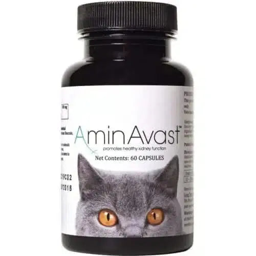 AminAvast for Cats AminAvast