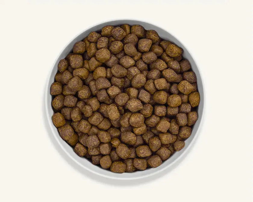 Canagan Dental Free Run Turkey Small Breed Dry Dog Food 2KG Canagan