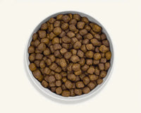 Canagan Dental Free Run Turkey Small Breed Dry Dog Food 2KG Canagan